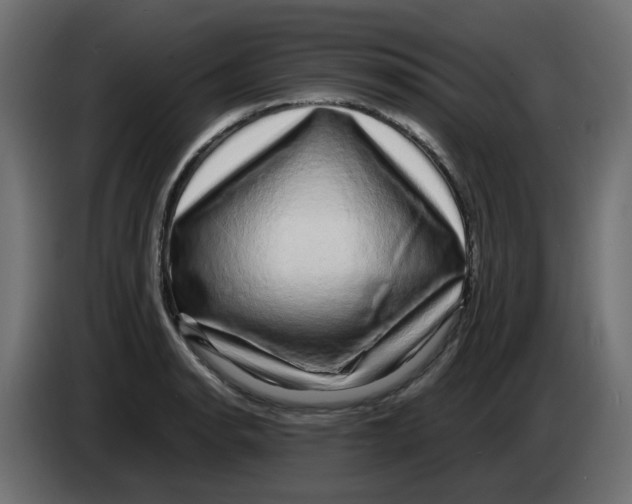 X0000083561134200703021711