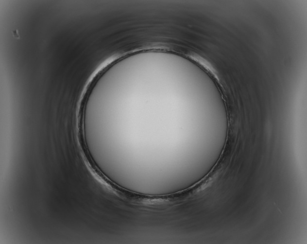 X0000083561135200703021711