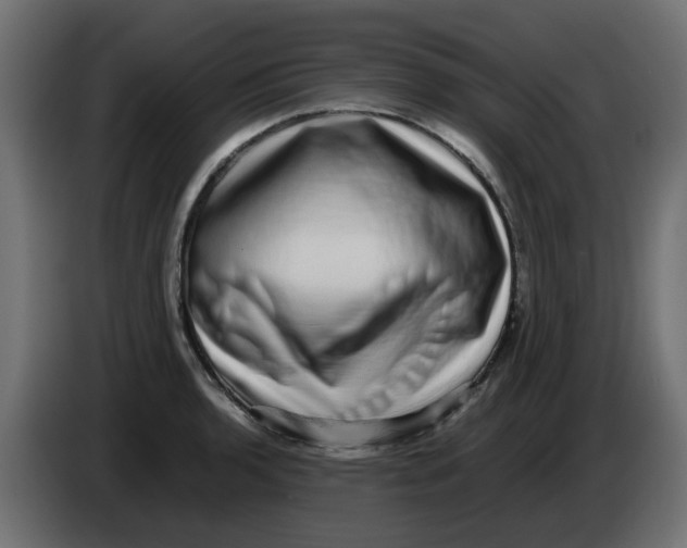 X0000083561136200703021711