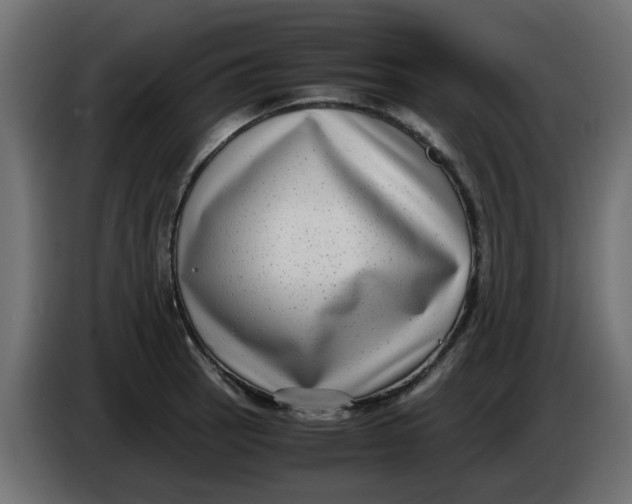 X0000083561137200703021711