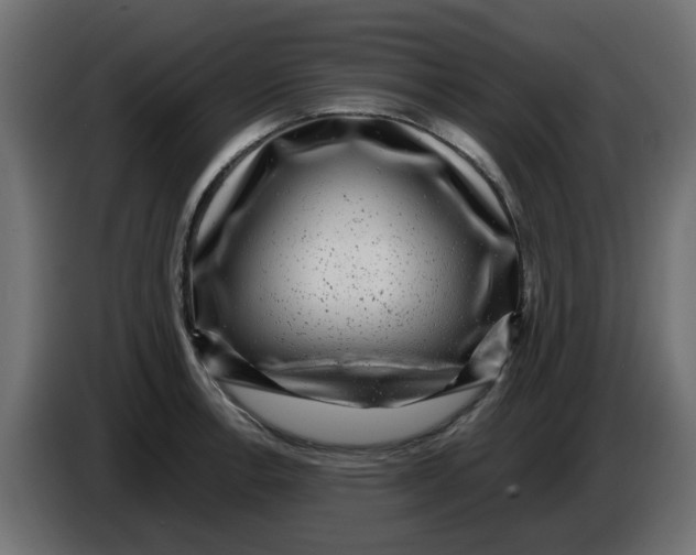 X0000083561138200703021711