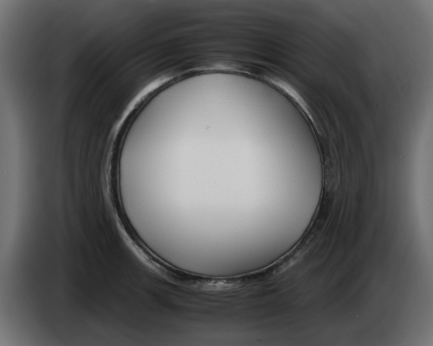 X0000083561139200703021711