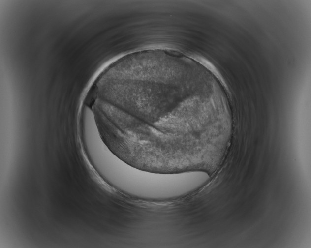 X0000083561140200703021711