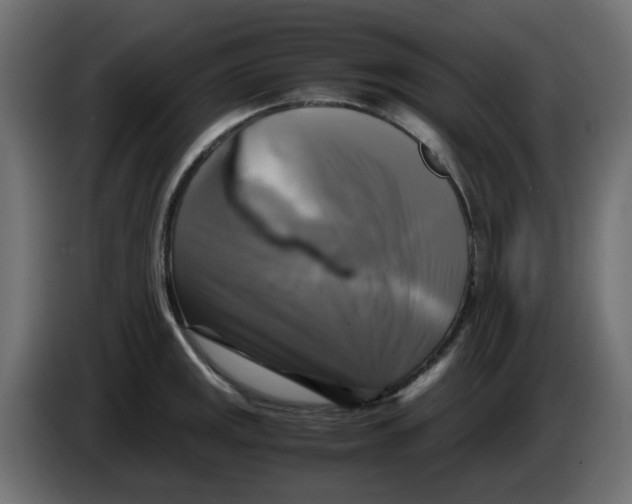 X0000083561141200703021711