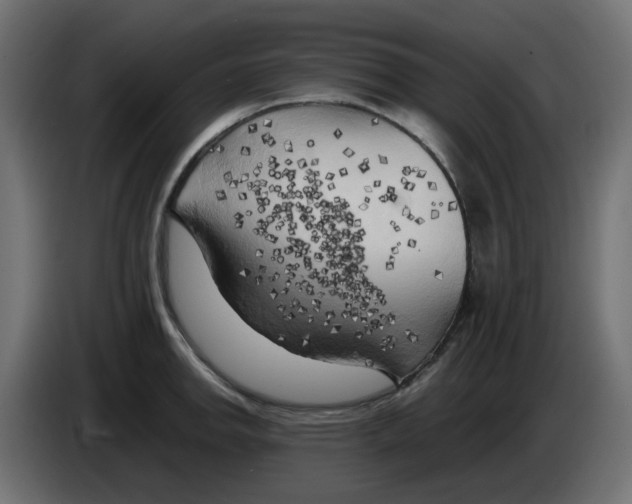 X0000083561142200703021711