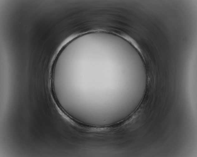 X0000083561143200703021711