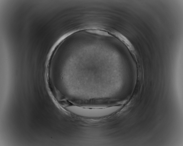 X0000083561144200703021711