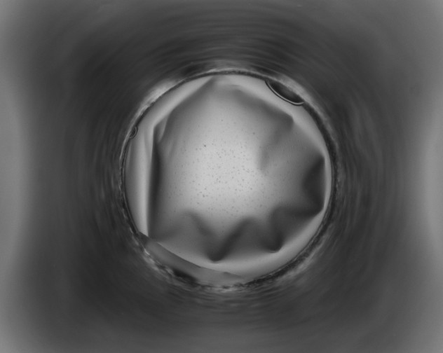 X0000083561145200703021711