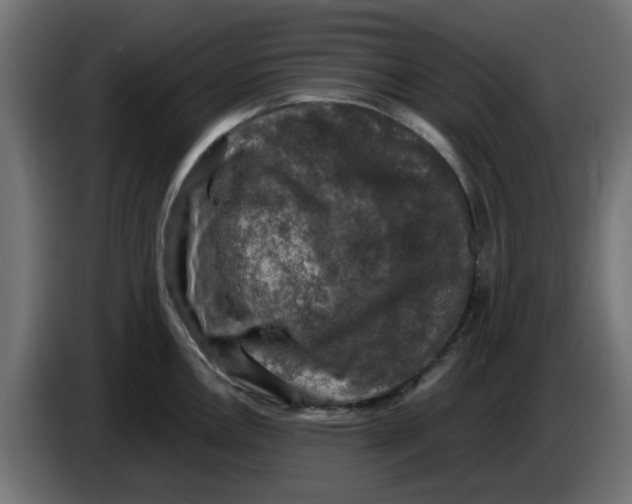 X0000083561146200703021711