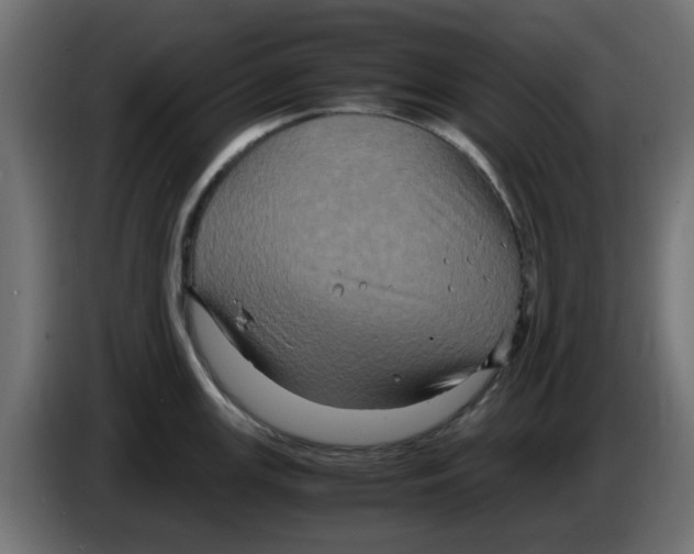 X0000083561147200703021711