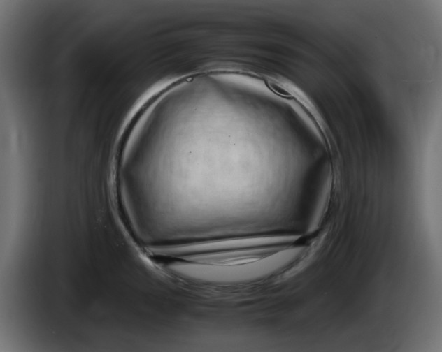 X0000083561149200703021711