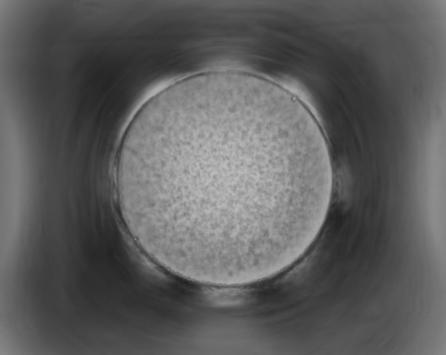 X0000083561150200703021711