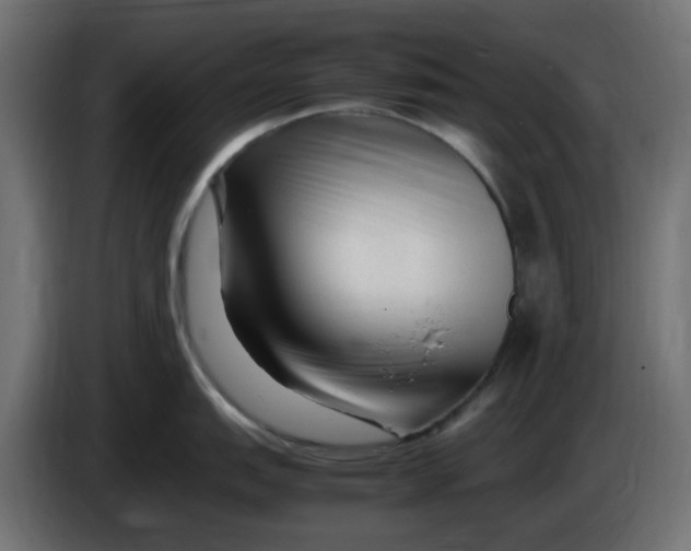 X0000083561151200703021711