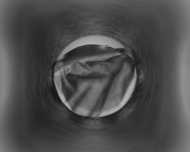 X0000083561156200703021710