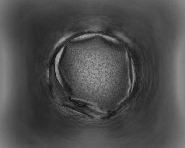 X0000083561160200703021710