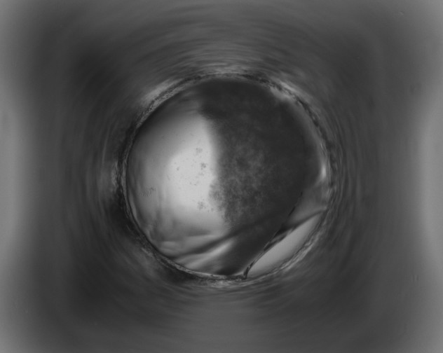 X0000083561161200703021710