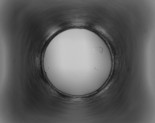 X0000083561162200703021710