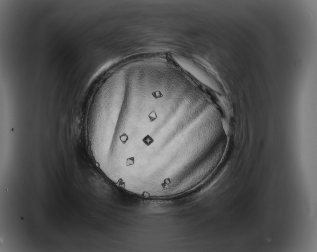 X0000083561163200703021710