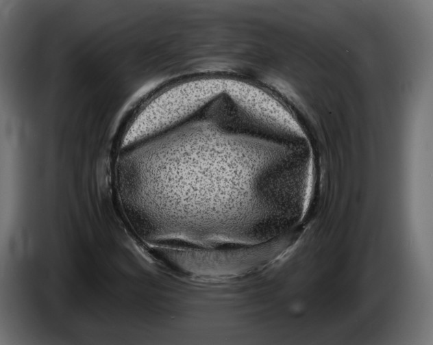 X0000083561164200703021710