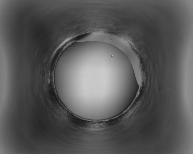 X0000083561165200703021710