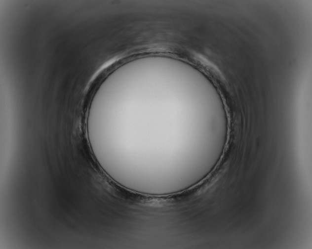 X0000083561166200703021710