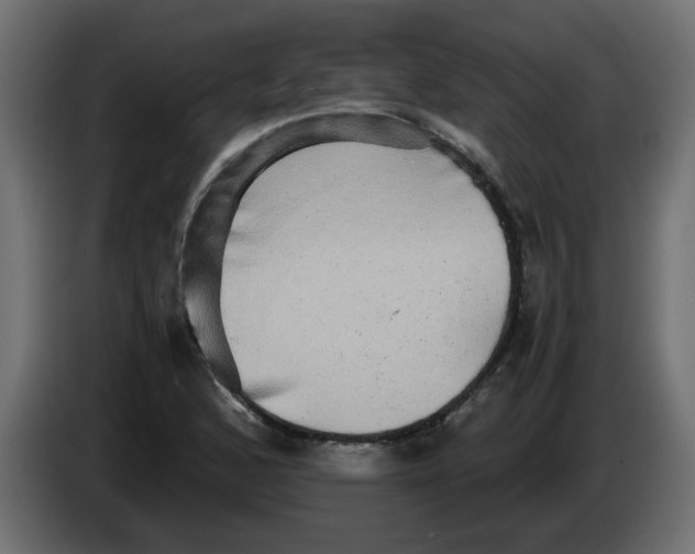 X0000083561168200703021710