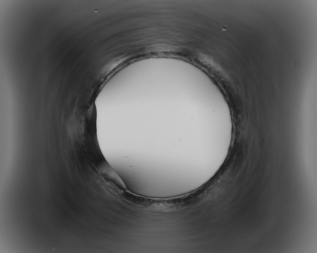 X0000083561169200703021710