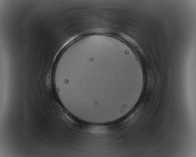 X0000083561170200703021710