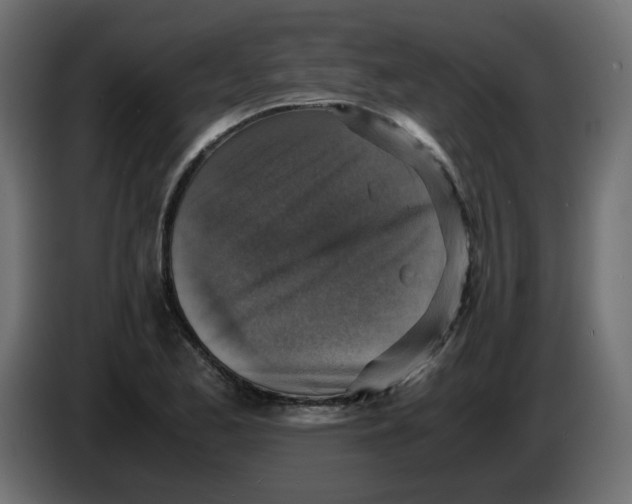 X0000083561173200703021710