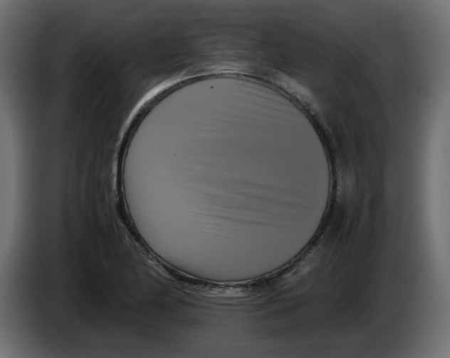 X0000083561174200703021710