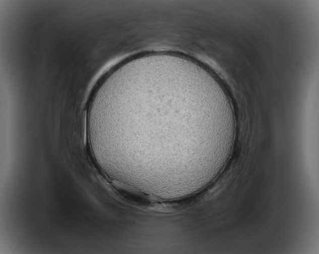 X0000083561175200703021710