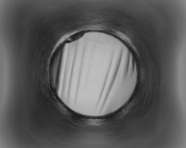 X0000083561176200703021710