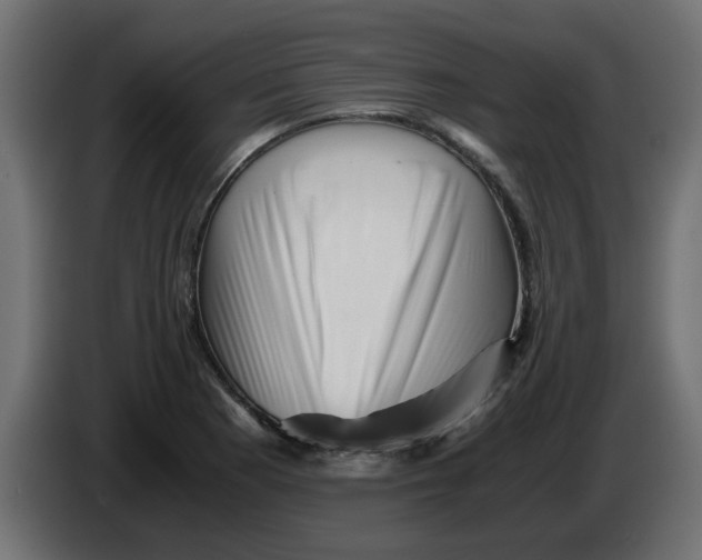 X0000083561177200703021710