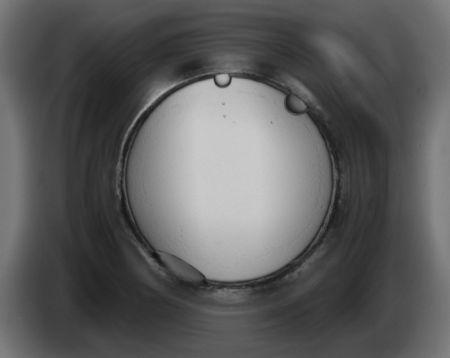 X0000083561178200703021710