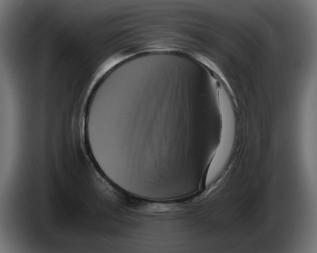 X0000083561179200703021710