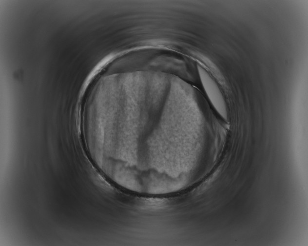 X0000083561180200703021710