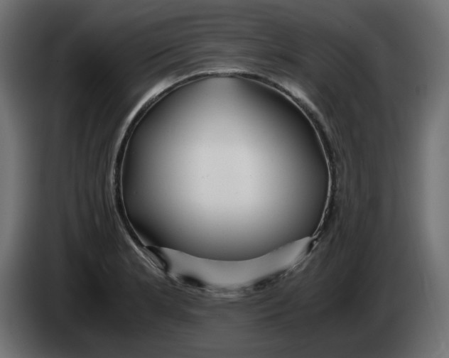 X0000083561181200703021710