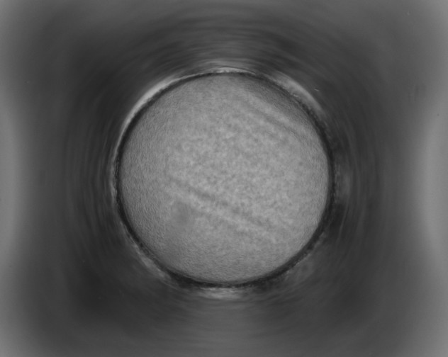 X0000083561182200703021710