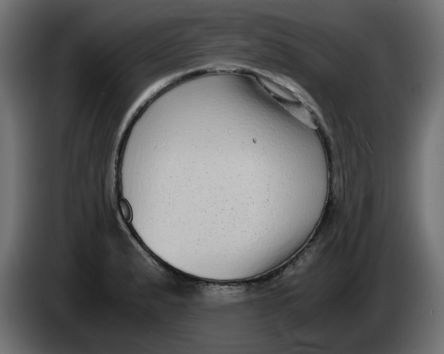 X0000083561183200703021710