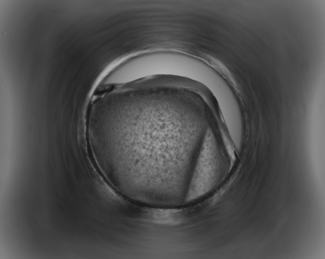 X0000083561184200703021710