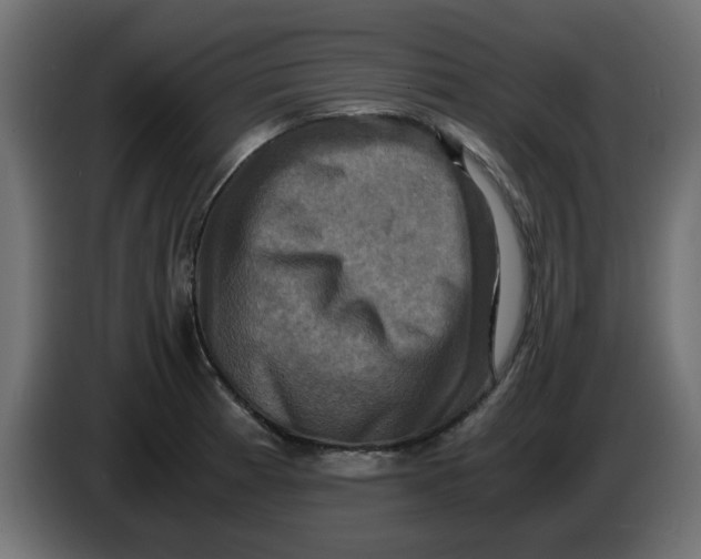 X0000083561185200703021710