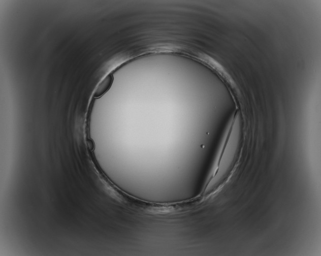 X0000083561186200703021710