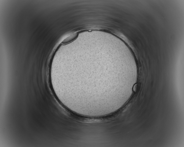 X0000083561187200703021710