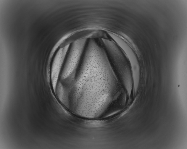 X0000083561188200703021710