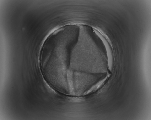 X0000083561189200703021710