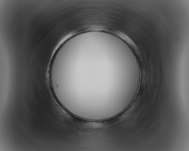 X0000083561190200703021710