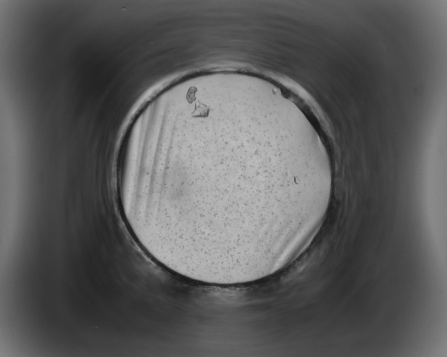 X0000083561191200703021710