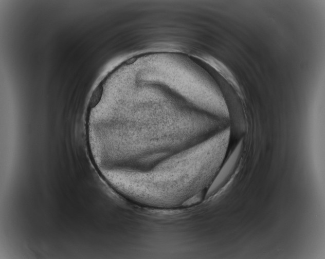 X0000083561192200703021710