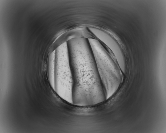 X0000083561193200703021710