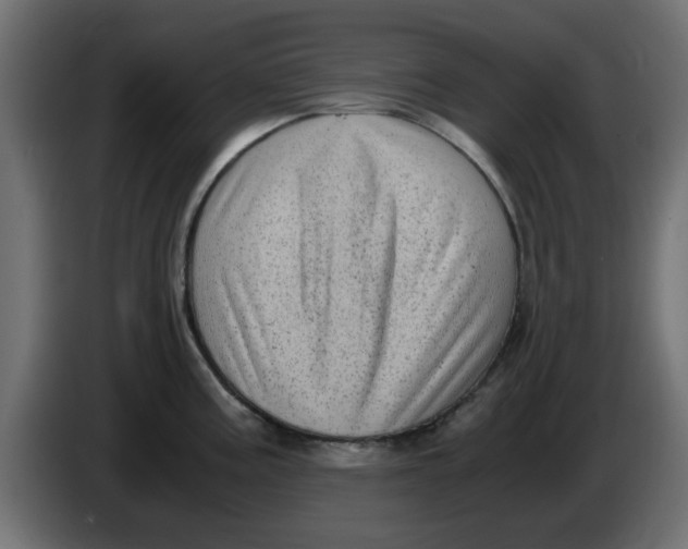 X0000083561195200703021710